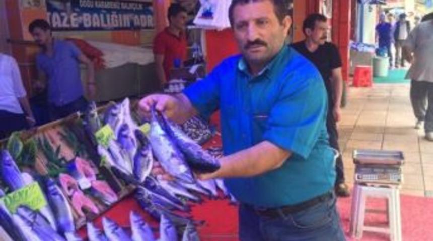 Balıkcılar Yeni Sezonu Umutla Bekliyor