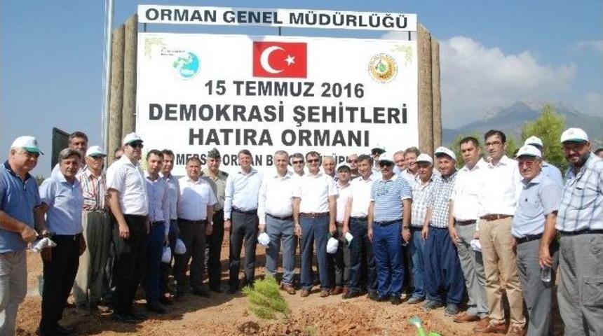 Silifke&rsquo;de 15 Temmuz Demokrasi Şehitleri İ&ccedil;in Fidan Dikildi