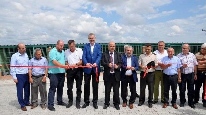 Karacabey’e Modern Hayvan Barınağı