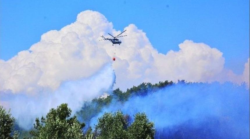 Orman Yangınlarında İnsan Eli