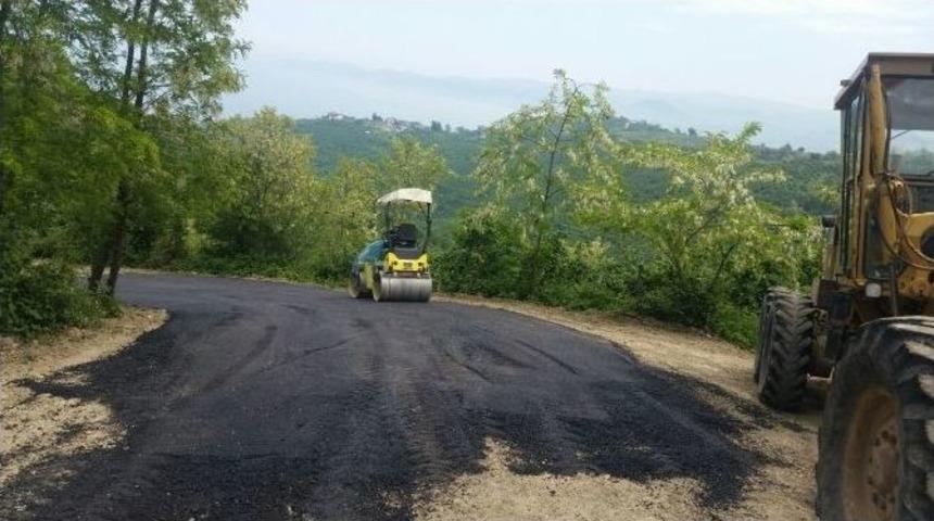 Fatsa Belediyesi Kırsal Hizmetler M&uuml;d&uuml;rl&uuml;ğ&uuml;&rsquo;nden Yoğun Mesai