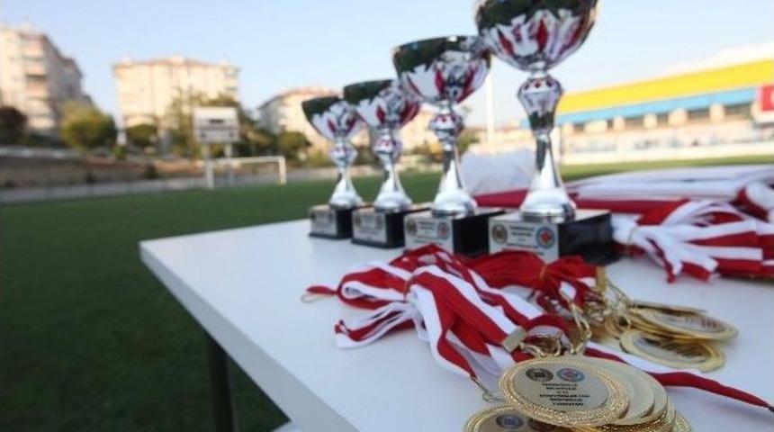 Demokrasi Turnuvası&rsquo;nın Şampiyonu Belli Oldu