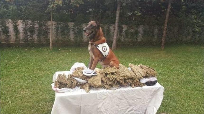 Bursa&rsquo;da Uyuşturucu Operasyonu