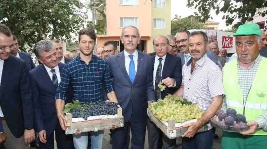 İlk Siyah İncir İhracatı Almanya&rsquo;ya