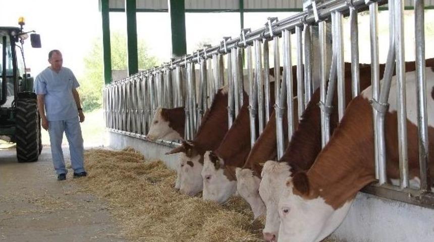 Adsyb Tarım Bakanlığı&rsquo;na &lsquo;desetkeleme&rsquo; Sistemindeki Endişelerini Dile Getirdi