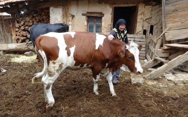 Bu Defa Sevinçten Ağladılar