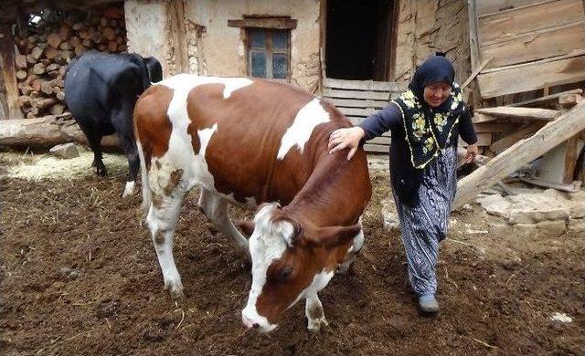 Bu Defa Sevinçten Ağladılar