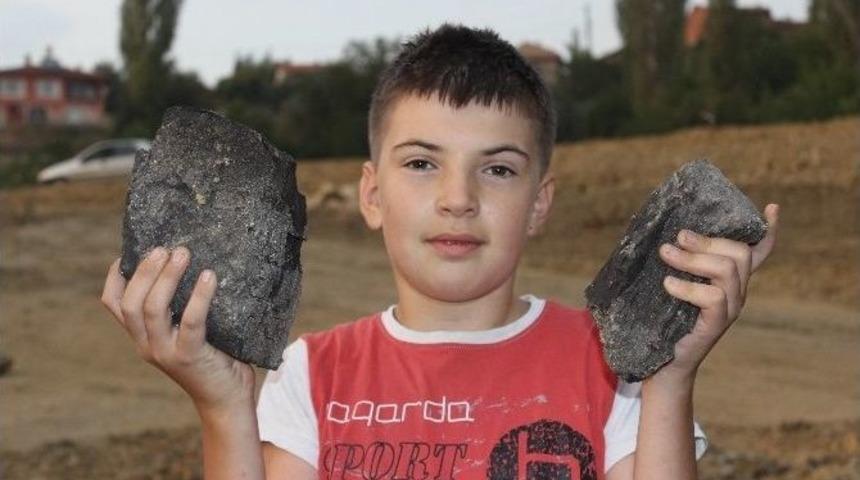 G&uuml;nl&uuml;ce&rsquo;de K&ouml;m&uuml;r Heyecanı