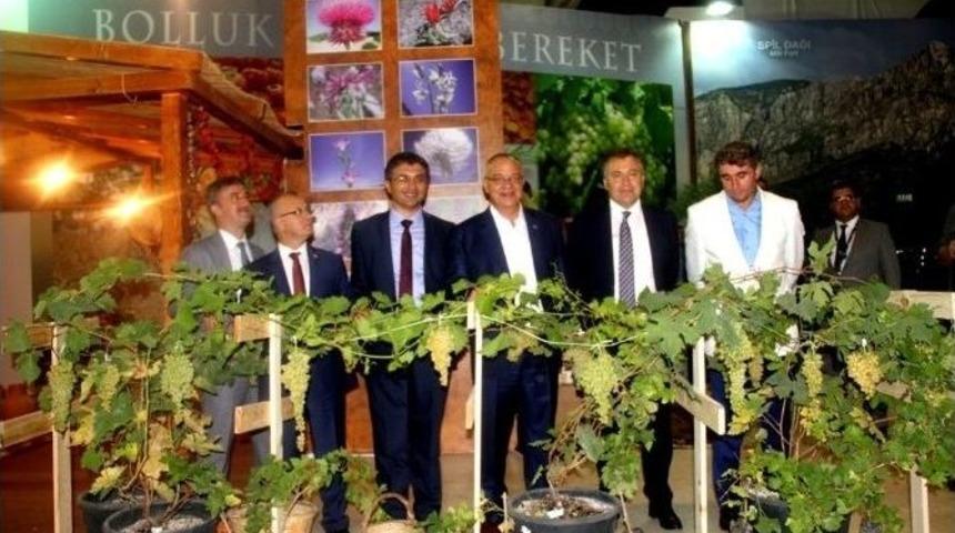 İzmir Fuarı&rsquo;nda Sultaniye &Uuml;z&uuml;m&uuml;ne B&uuml;y&uuml;k İlgi