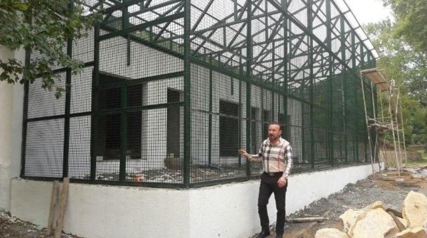 Başkan Doğan, &Ccedil;alışmaları Yerinde İnceledi