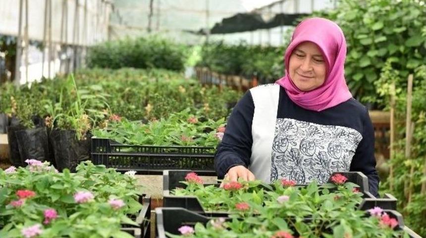 Kepez Belediyesi Kendi Bitkisini Kendisi &Uuml;retiyor