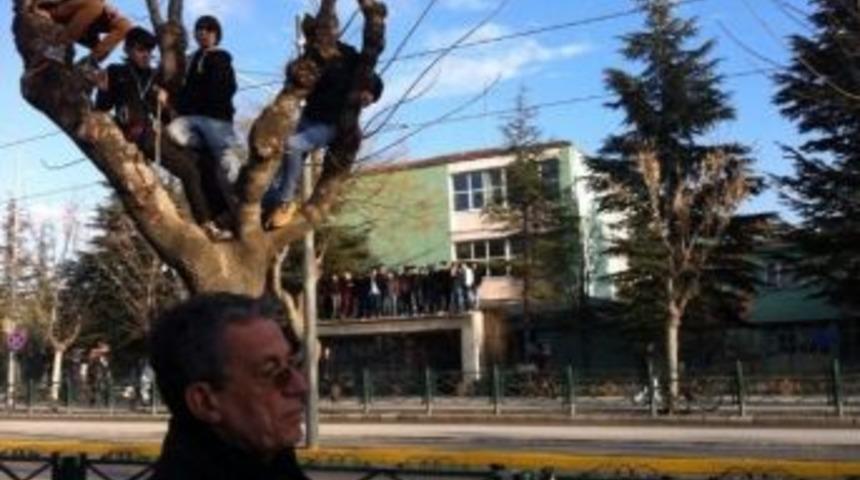 Cezalı Taraftarlar Ma&ccedil;ı Ağa&ccedil; &Uuml;st&uuml;nden Takip Etti