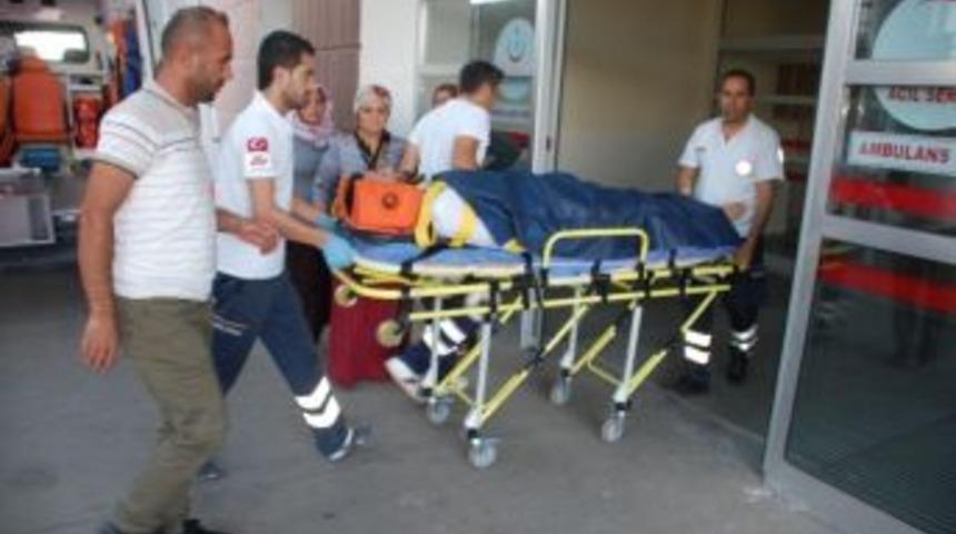 İncir Ağacından Düşen Şahıs Yaralandı