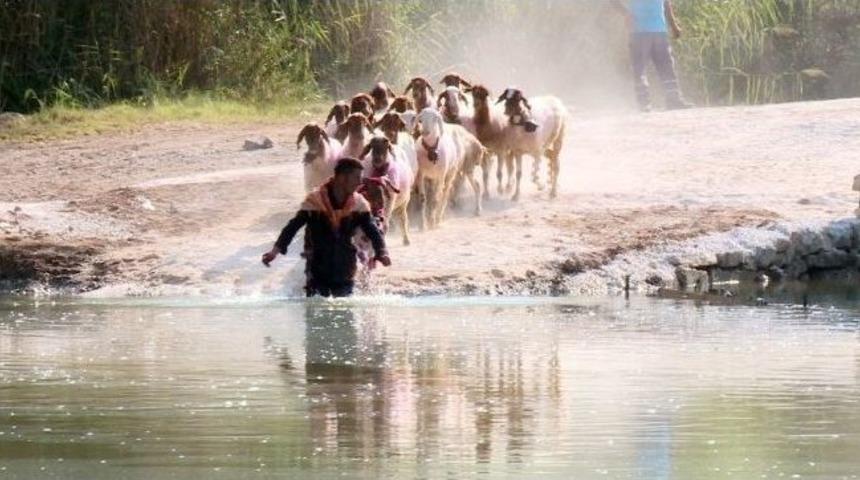 &lsquo;ispanya Boğa G&uuml;reşlerine&rsquo; Rakip 8 Asırlık Yarışma