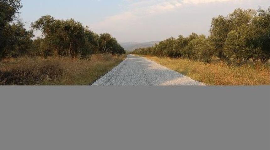 Akhisar-hask&ouml;y Yollarında Asfalt Sevinci