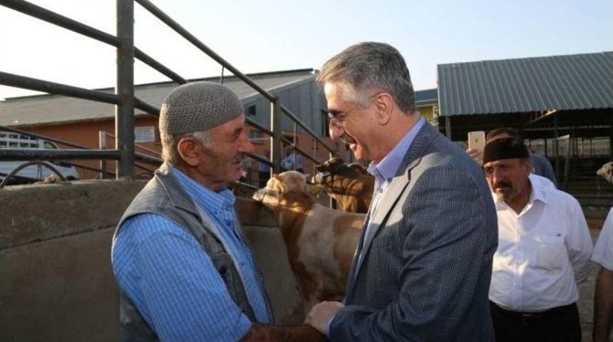 Başkan Yanılmaz, Hayvan Borsasını Ziyaret Etti