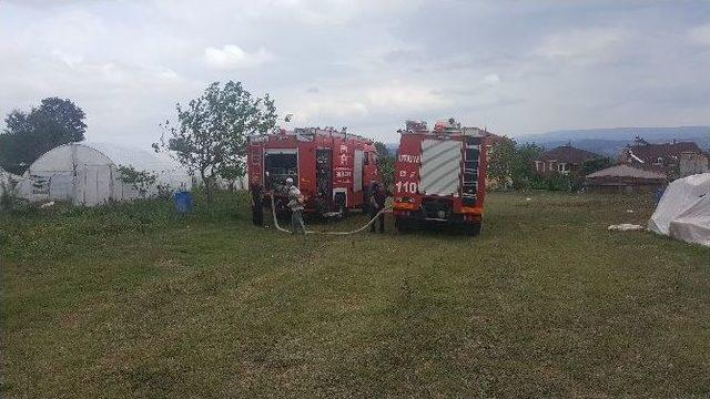 Evlerin Arkasındaki Serada Çıkan Yangın Korkuttu