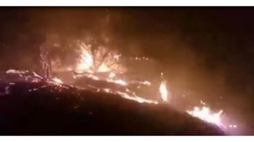 G&uuml;r&uuml;n&rsquo;deki Ot Yangını Korkuttu