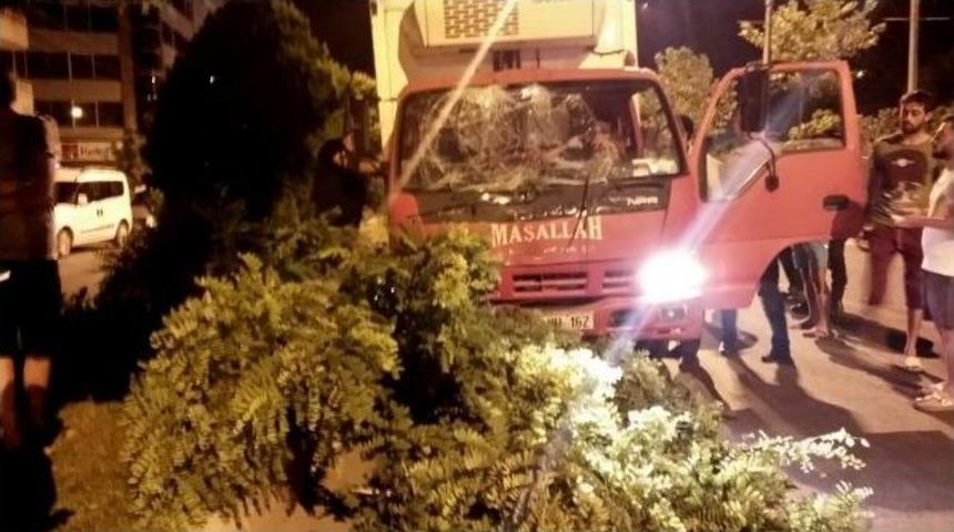 Ağa&ccedil;lara &Ccedil;arparak Durabildi