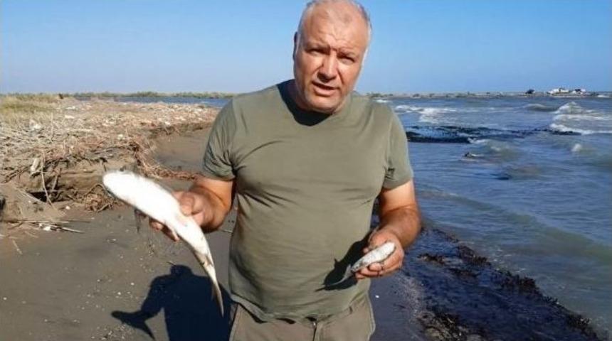 Seyhan Nehri&rsquo;ndeki Kirlilik, Balık &Ouml;l&uuml;mlerine Yol A&ccedil;tı