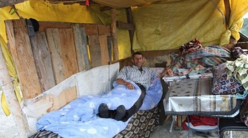 6 Kişi Bir Oda Da Yaşıyorlar