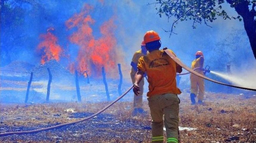 Orman B&ouml;lge M&uuml;d&uuml;r&uuml; Mehmet &Ccedil;elik Yangınları Değerlendirdi