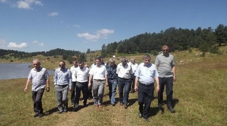 Daday, Eğriceova Yaylasına Sahip &Ccedil;ıktı