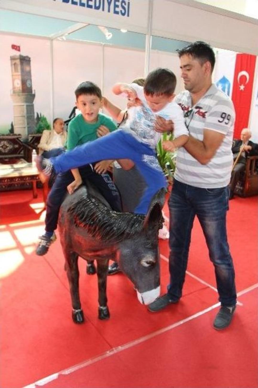 &rsquo;merzifon Eşeği&rsquo;ni Arıyorlar