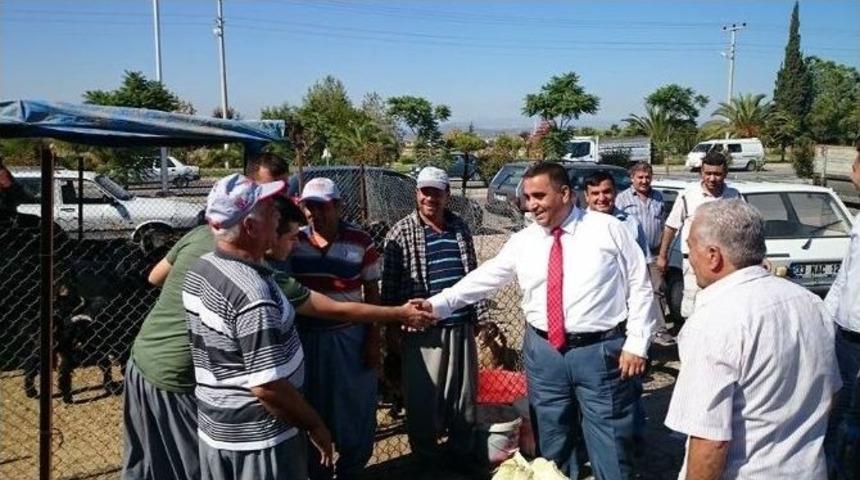 Belediye, Kurban Fiyatları İle Satış Yerlerini Belirledi