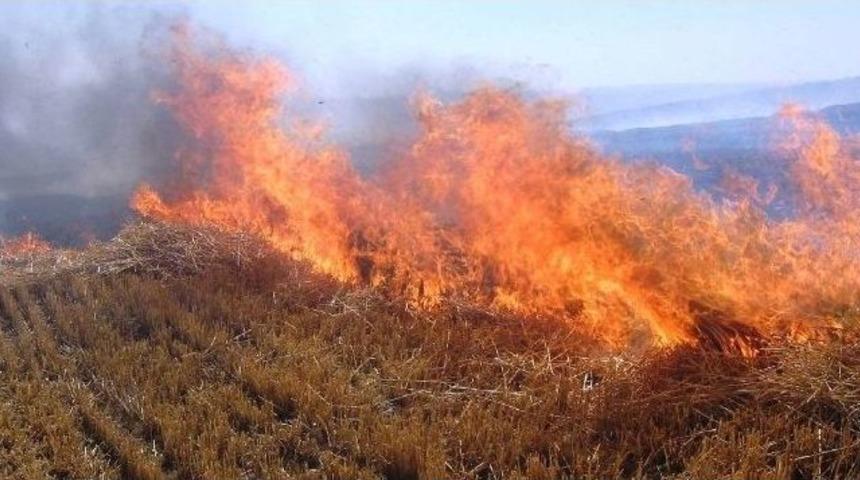 &Ccedil;ukurova&rsquo;yı Zehirlemenin Bedeli 42 Tl