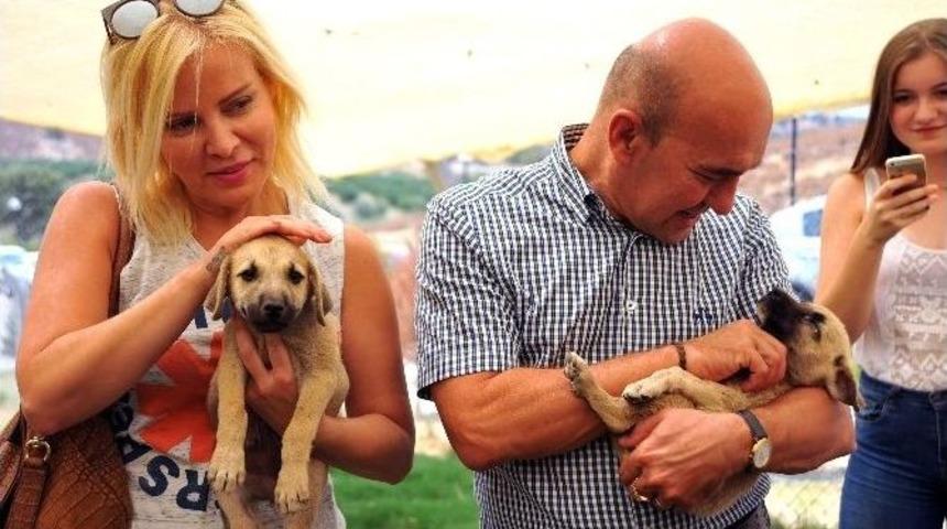 Seferihisar&rsquo;ın Can Dostlarına Mama Desteği