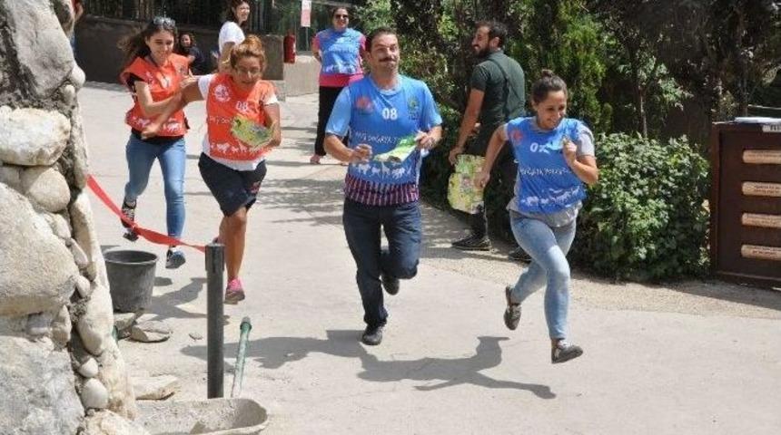 &Ouml;ğretmenler, Oryantiring Yarışmasında Birinci Olmak İ&ccedil;in Kıyasıya Yarıştı