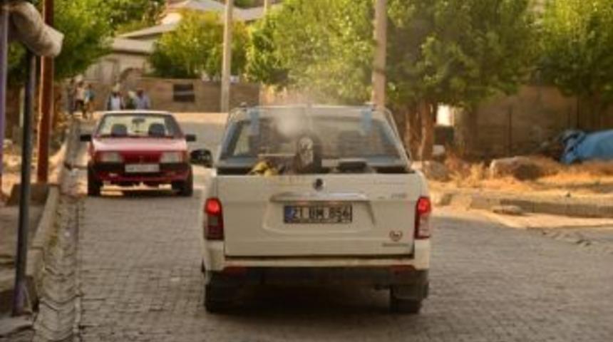 Kulp&rsquo;ta İla&ccedil;lama &Ccedil;alışmaları S&uuml;r&uuml;yor