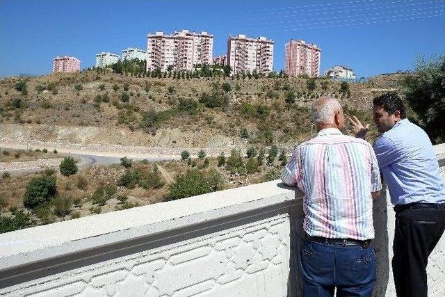 Başkan Eroğlu, Toplu Konut Alanını İnceledi