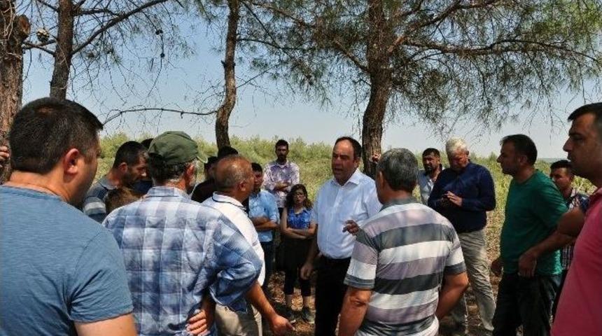 Chp&rsquo;li T&uuml;mer, Ağa&ccedil; Kesimini &Ouml;nledi