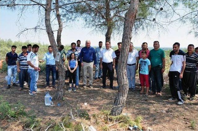 Chp’li Tümer, Ağaç Kesimini Önledi