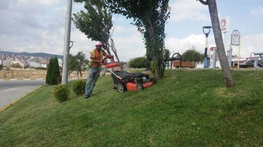 Karesi Yeşile Doyacak