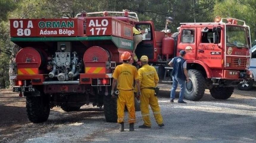 Osmaniye&rsquo;de 10 Hektarlık Kızıl&ccedil;am Ormanı Yandı