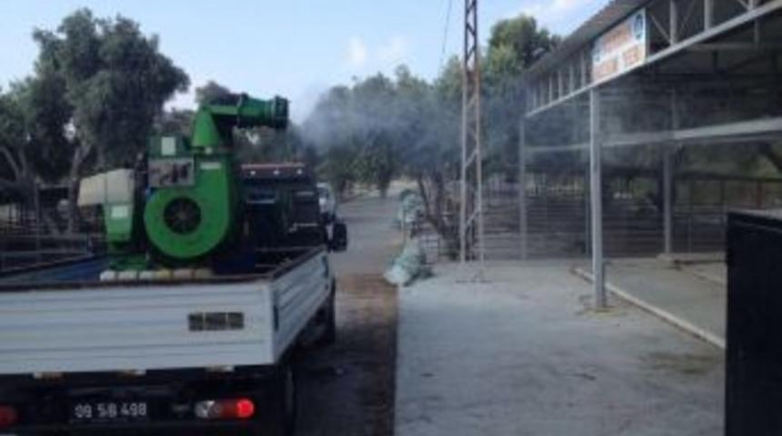 S&ouml;ke&rsquo;de Kurban Satış Ve Kesimleri İ&ccedil;in Hazırlıklar Tamam