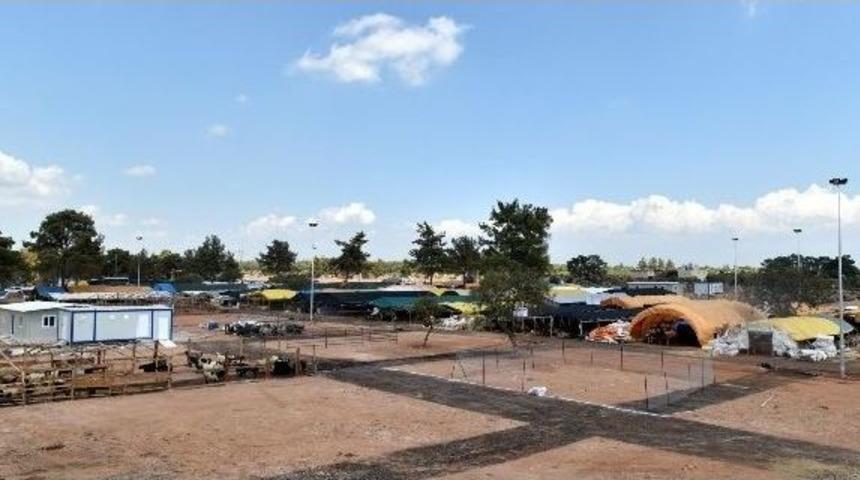 Başkan T&uuml;t&uuml;nc&uuml;, Kurban Satış Yerini İnceledi