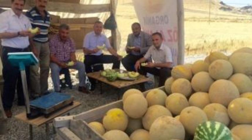 Van&rsquo;ın Yerli Kavunu Piyasaya &Ccedil;ıktı