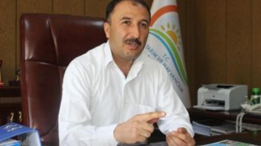 &Ccedil;olakoğlu&rsquo;ndan Hayvan Sahiplerine Uyarı