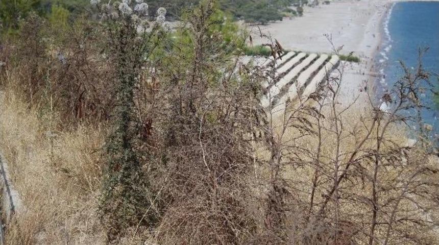 Antalya&rsquo;da, Kadınlar Plajı&rsquo;na Kamuflaj G&ouml;revi G&ouml;ren Ağa&ccedil;lar Kurudu