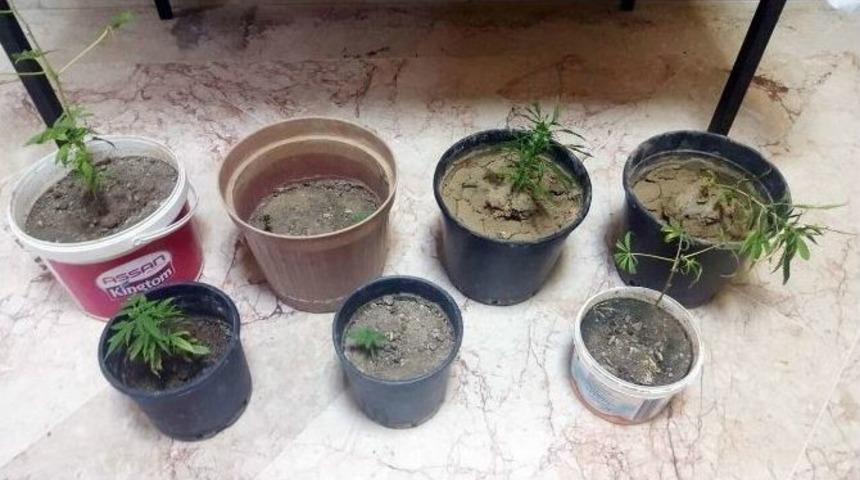 Manavgat&rsquo;ta Uyuşturucu Operasyonu