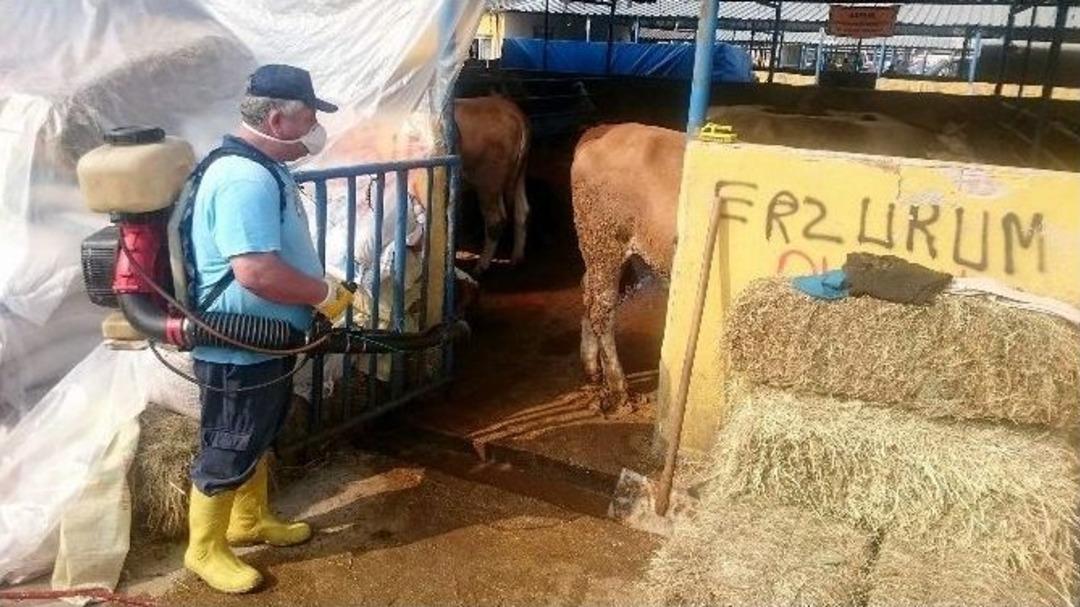 Bursa&rsquo;da Hayvan Pazarları İla&ccedil;landı