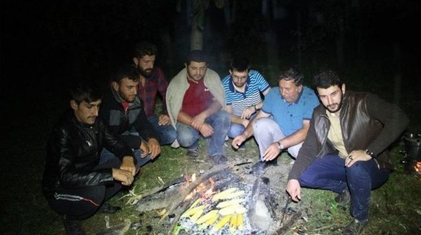 Tarım Alanlarına Zarar Veren Domuzlara Karşı N&ouml;bet Başlattılar