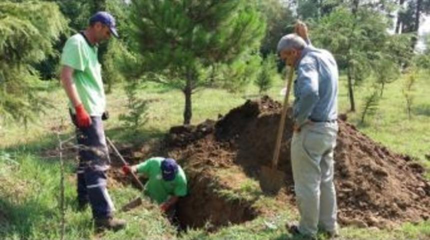 Başiskele&rsquo;de Defin Hizmetleri S&uuml;r&uuml;yor