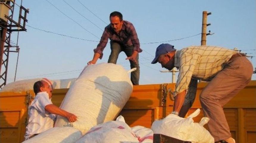 Tmo&rsquo;dan Haşhaş Kaps&uuml;l&uuml; &Uuml;reticilerine Nakliye Desteği