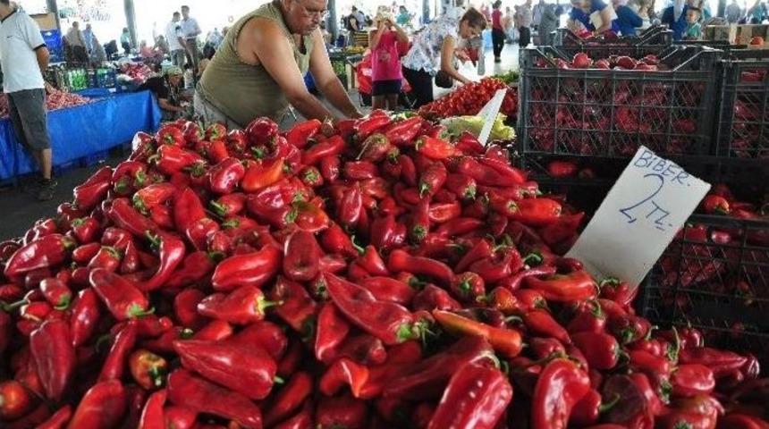 Milas’ta Kış Hazırlıkları Başladı