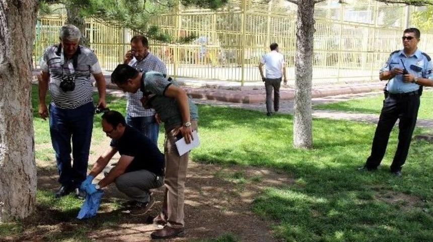 4 Aylık Cenini Parka G&ouml;md&uuml;ler